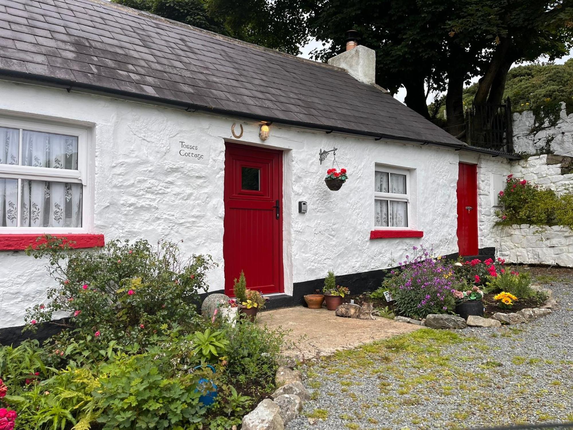 Tosses Cottage - Secluded Cottage With Hot Tub Newry Exterior foto